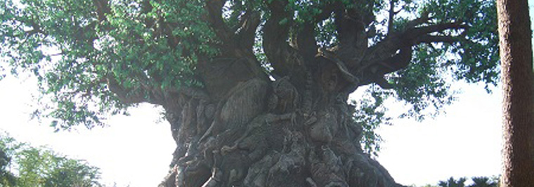 Tree of Life