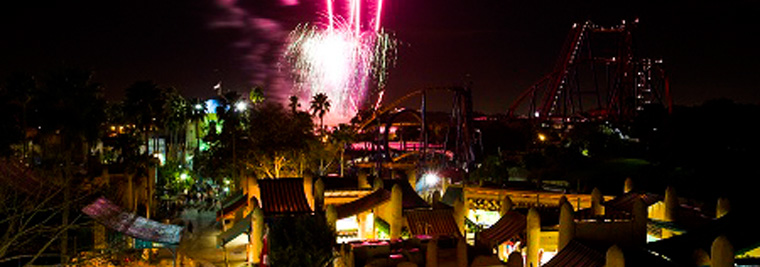 Summer Nights At Busch Gardens