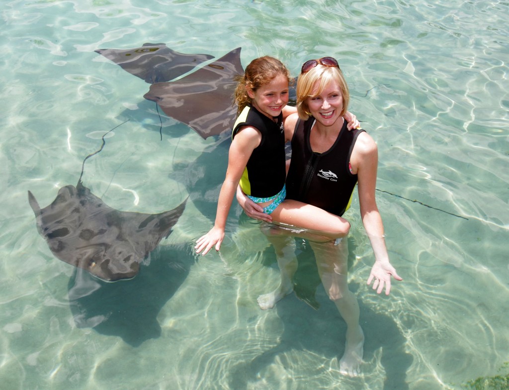 Discovery Cove Ray Pool