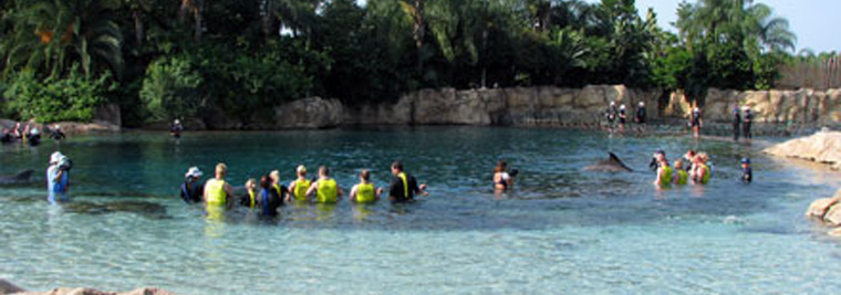 Discovery Cove