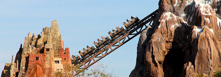 Ride at Animal Kingdom