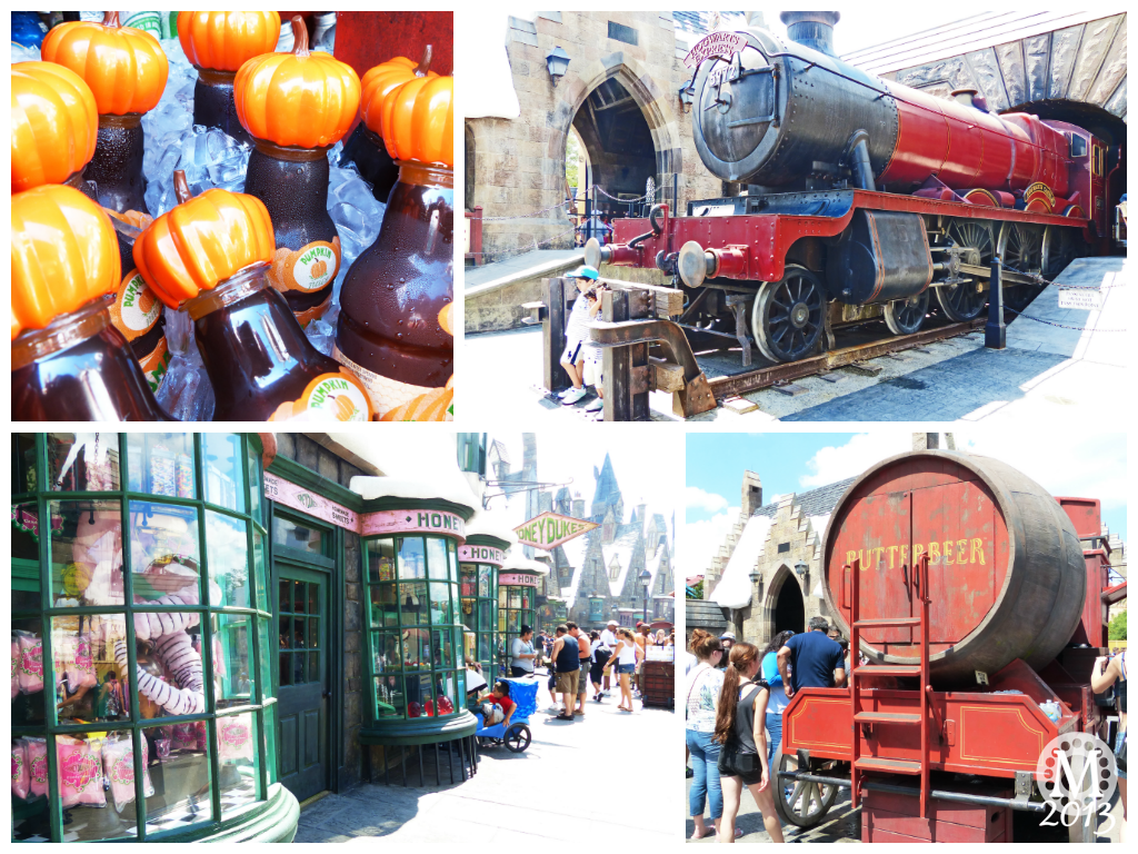 Wizarding World of Harry Potter