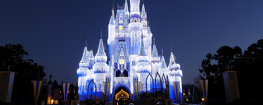 Frozen Cinderella Castle at Disney World