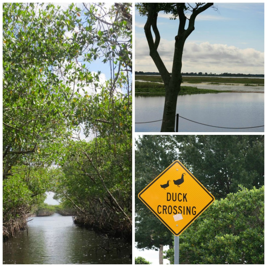 Florida National Parks