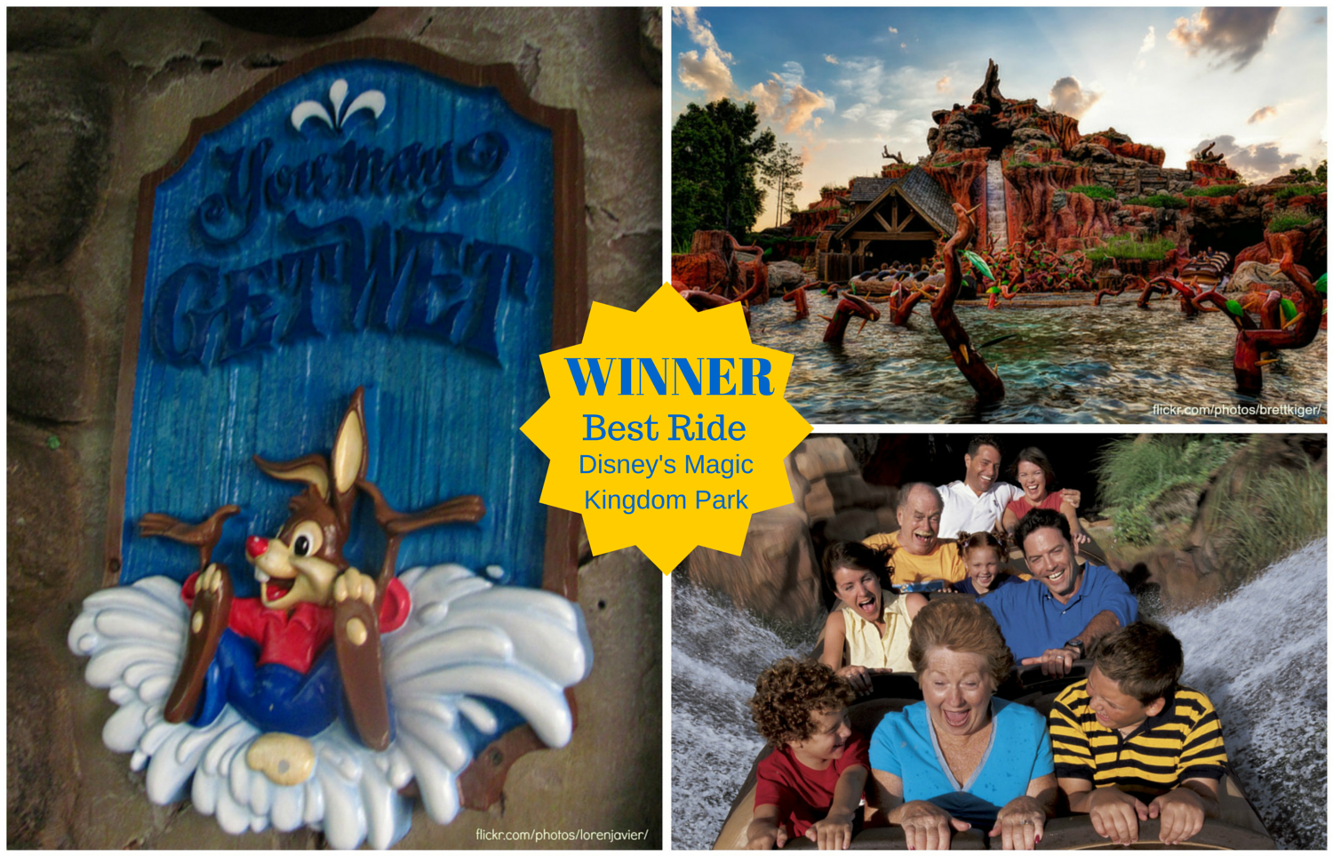 Splash Mountain Magic Kingdom Winner 