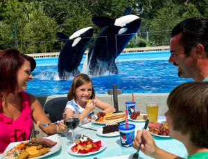 Dine with Shamu