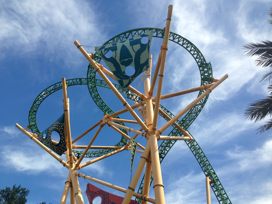 Cheetah Hunt at Busch Gardens