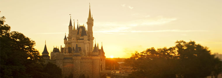 Disney World at Sunset