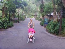 Animal Kingdom Empty