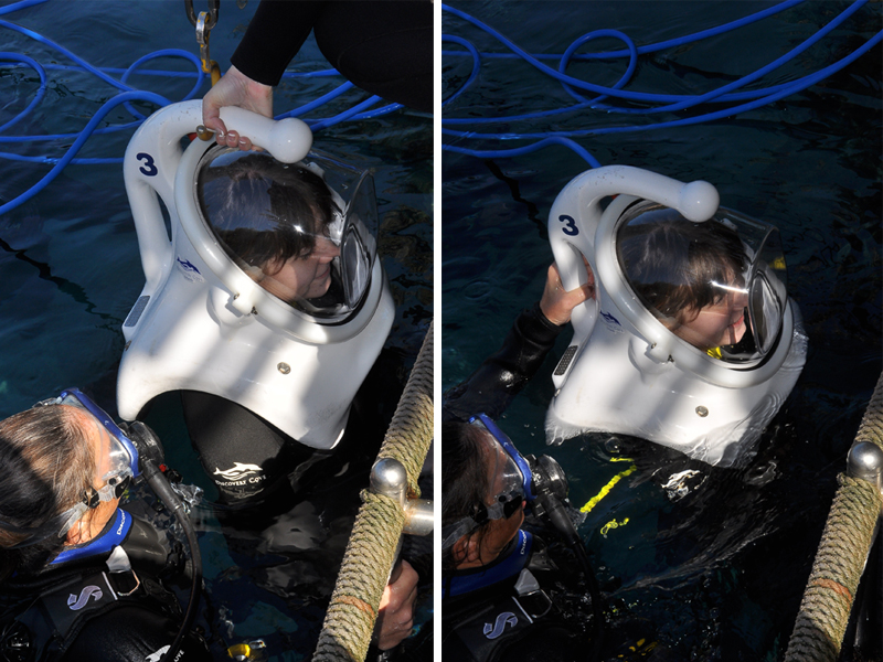 Putting on the dive helmet at SeaVenture Discovery Cove