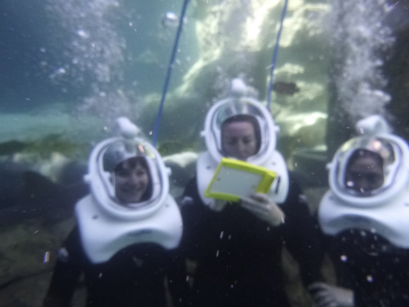 communicating underwater at Discovery Cove SeaVenture