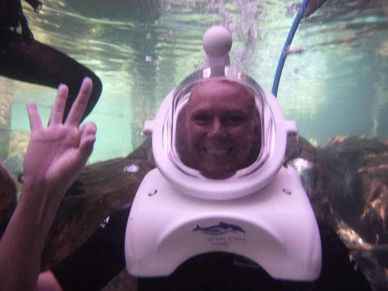 hand signals discovery cove seaventure