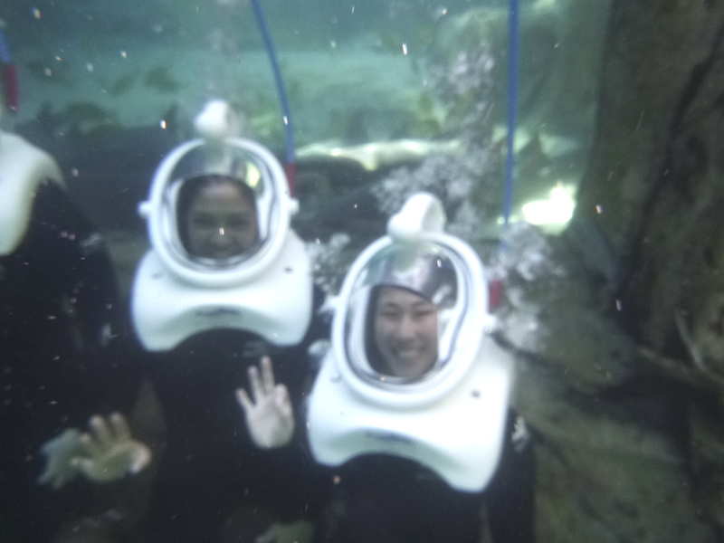 Waving underwater - SeaVenture Discovery Cove Orlando