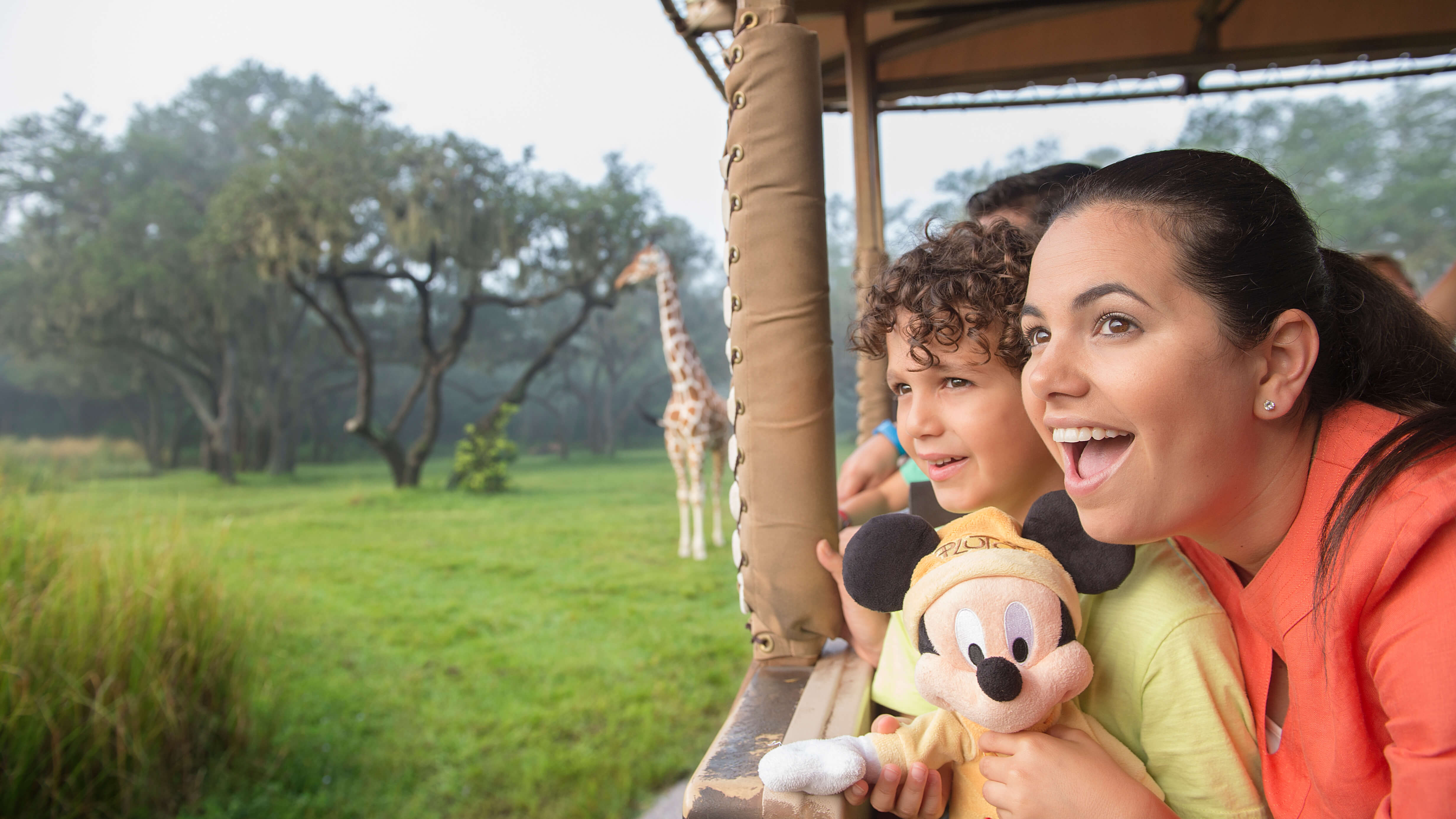 Kilimanjaro Safari at Animal Kingdom