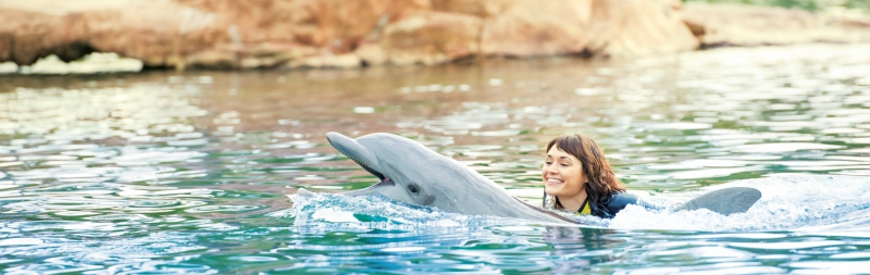 Girl swimming with dolphin at Discovery Cove