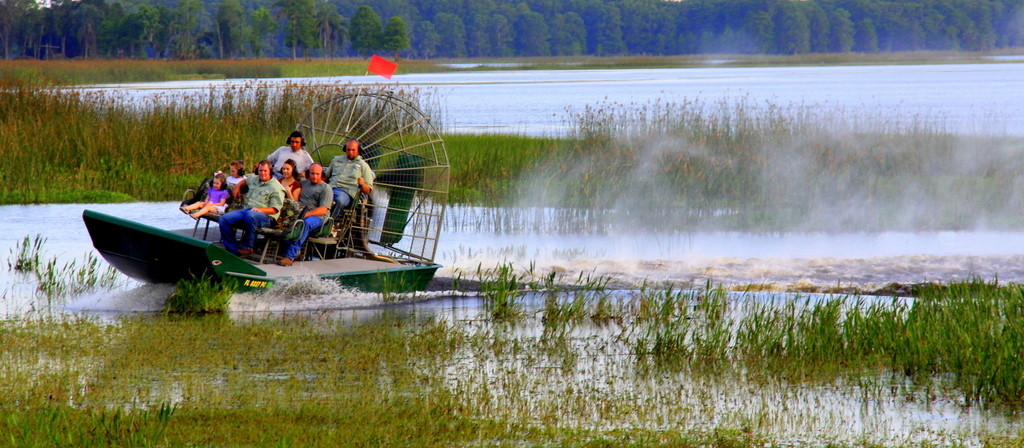 wild florida everglades airboat tour