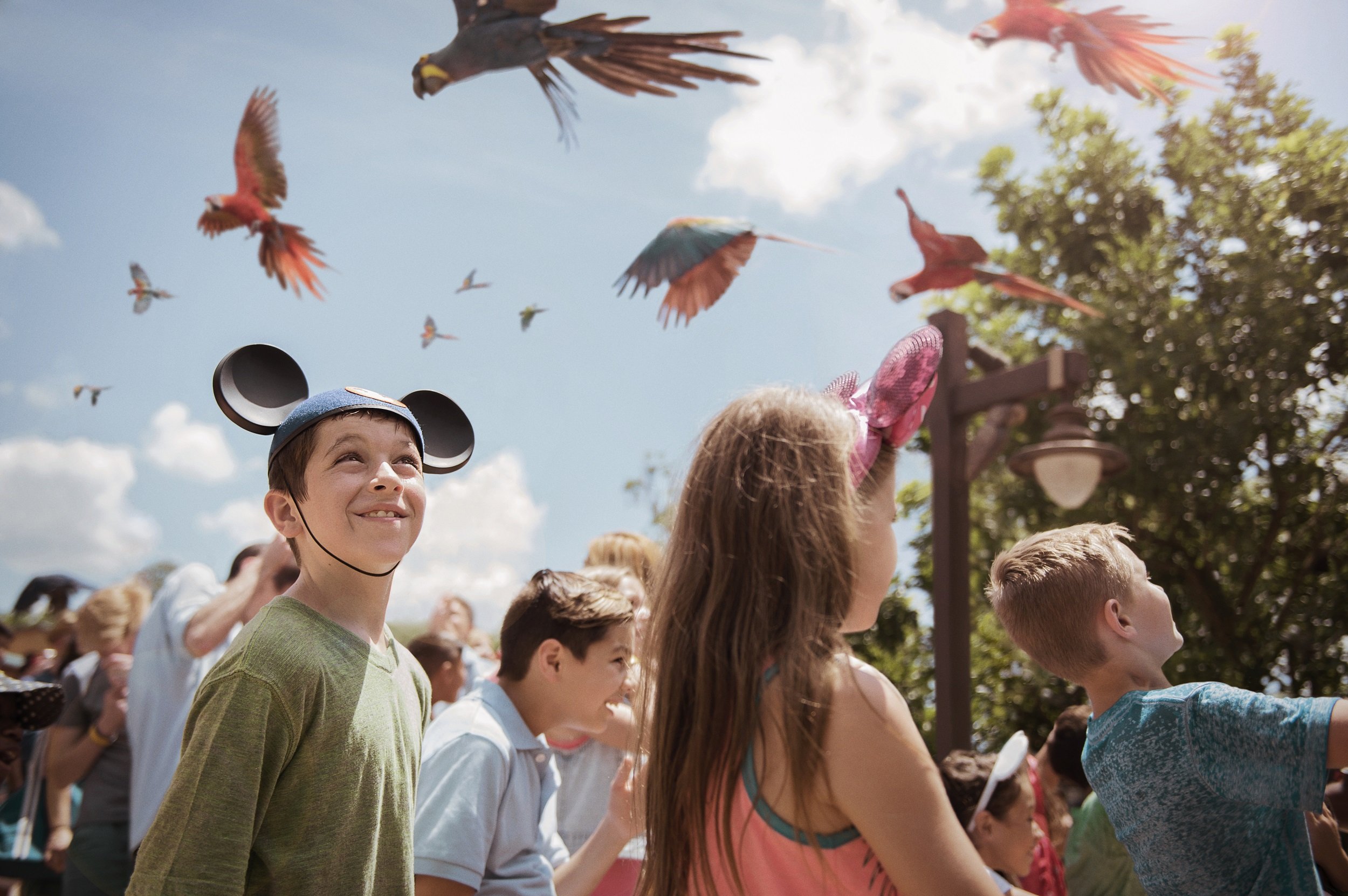 Animal Kingdom - discovery island